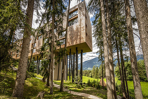 Südtirol - My Arbor Südtirol - My Arbor