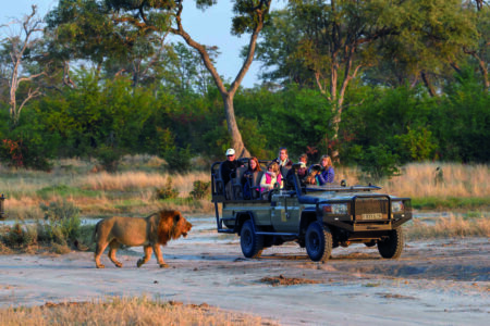 Safari in Botswana