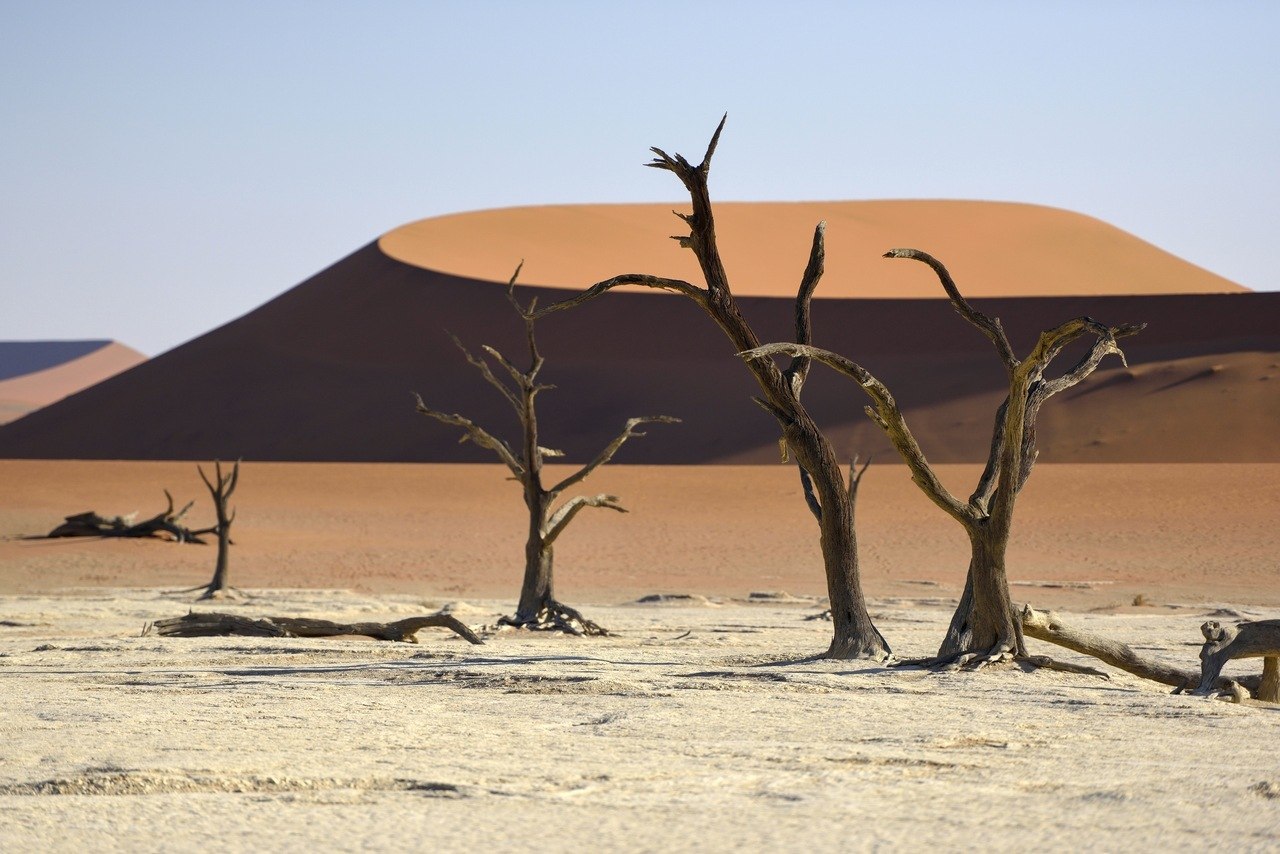 Deadvlei