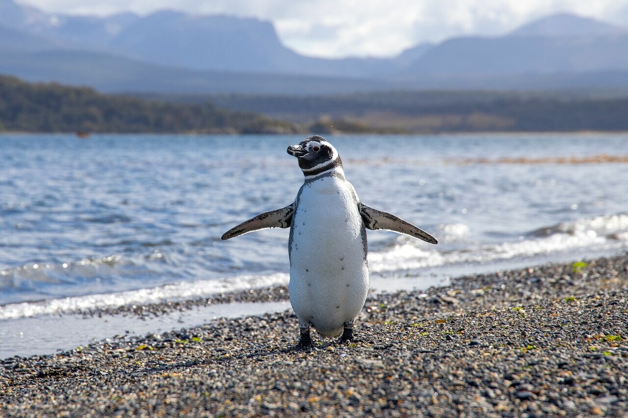 Unsplash Reise nach Patagonien